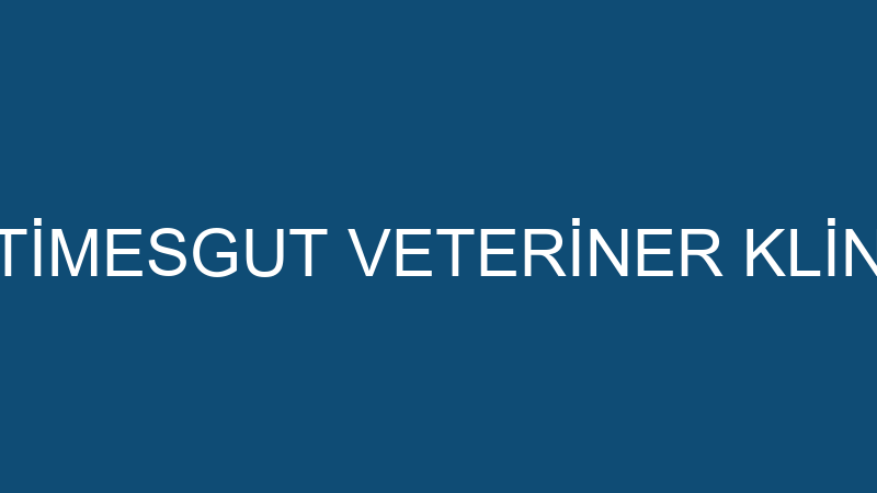 PATİMESGUT VETERİNER KLİNİĞİ
