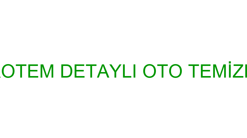 PROTEM DETAYLI OTO TEMİZLİK