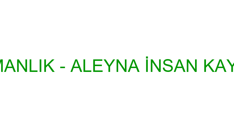ALEYNA DANIŞMANLIK - ALEYNA İNSAN KAYNAKLARI VE YÖ