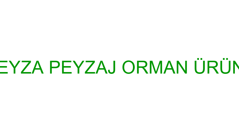 TAYANÇ GYM - FEYZA PEYZAJ ORMAN ÜRÜNLERİ TARIM DAN