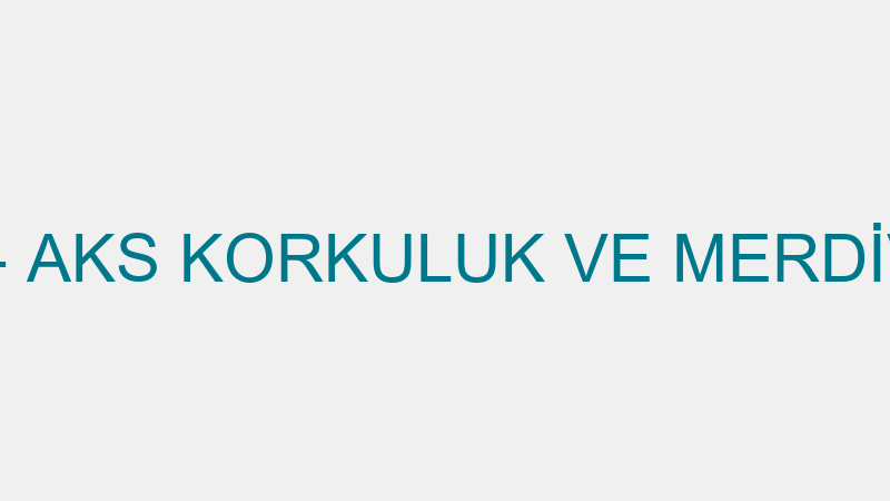 AKS KORKULUK - AKS KORKULUK VE MERDİVEN SİSTEMLERİ