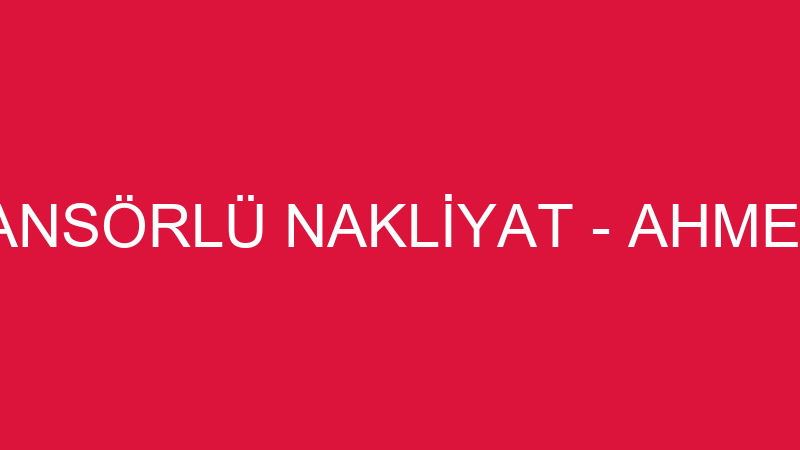 BİRGÜL ASANSÖRLÜ NAKLİYAT - AHMET KARAKUŞ