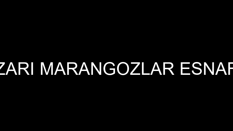 ADAPAZARI MARANGOZLAR ESNAF ODASI