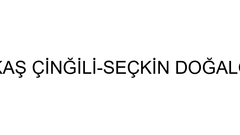 ÖKKAŞ ÇİNĞİLİ-SEÇKİN DOĞALGAZ