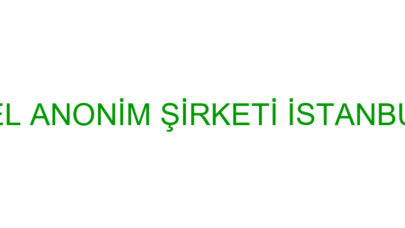 CHK PANEL ANONİM ŞİRKETİ İSTANBUL ŞUBESİ