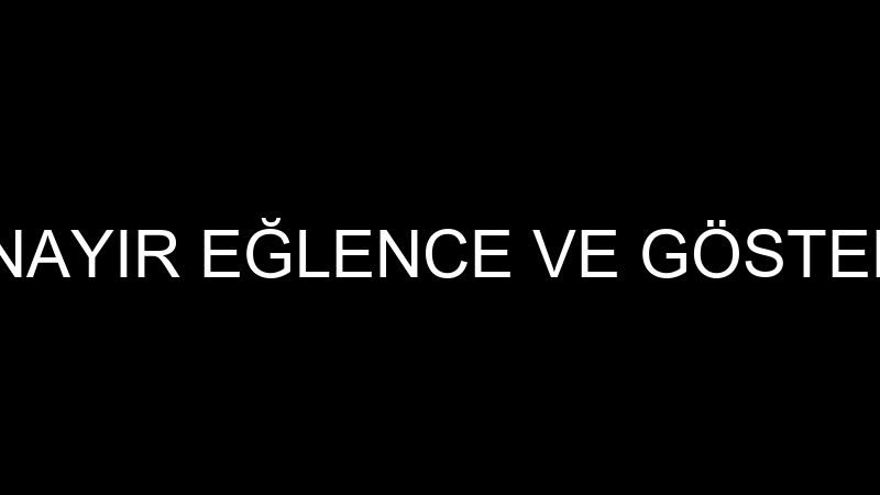 PANSHOW PANAYIR EĞLENCE VE GÖSTERİ HİZMETLERİ