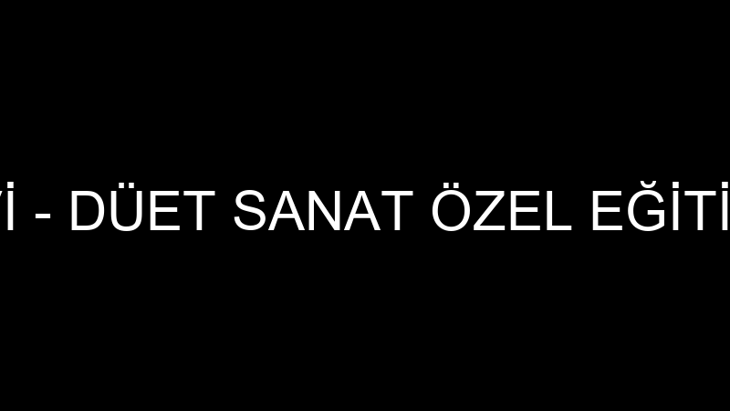 DÜET MÜZİK EVİ - DÜET SANAT ÖZEL EĞİTİM ÖĞRETİM MÜ