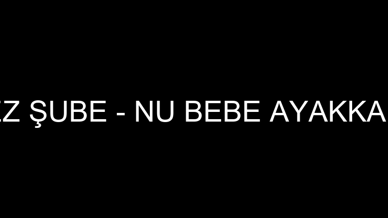 NU-BEBE MERKEZ ŞUBE - NU BEBE AYAKKABI PAZARLAMA S