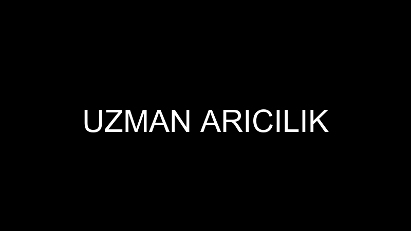 UZMAN ARICILIK