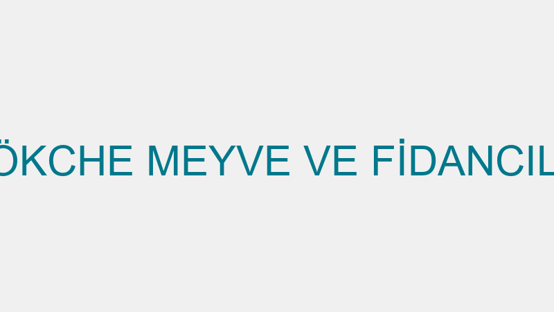 GÖKCHE MEYVE VE FİDANCILIK