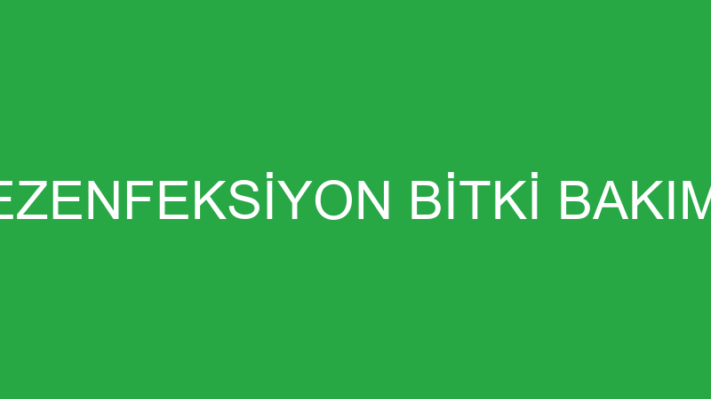 KATTENBECK DEZENFEKSİYON BİTKİ BAKIM HAŞERE VE İLA