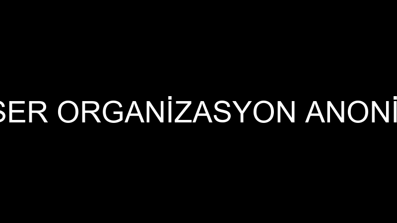 EMC KONSER ORGANİZASYON ANONİM ŞİRKETİ