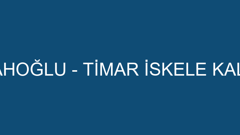 MEVLÜT SEYYAHOĞLU - TİMAR İSKELE KALIP SİSTEMLERİ