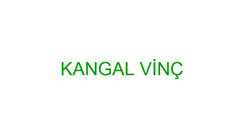 KANGAL VİNÇ
