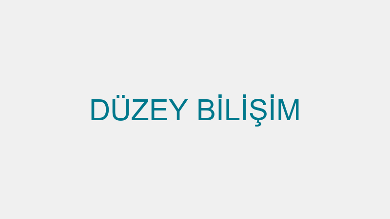 DÜZEY BİLİŞİM