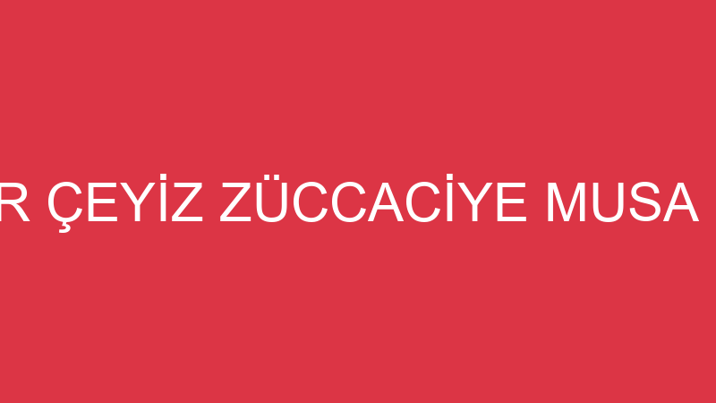 YAŞAR ÇEYİZ ZÜCCACİYE MUSA KOCA - Yaşar Koç - İstanbul Kartal