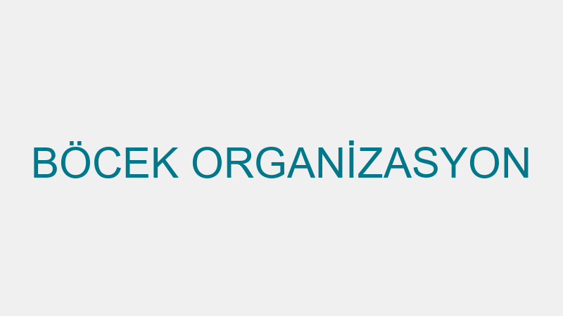 BÖCEK ORGANİZASYON