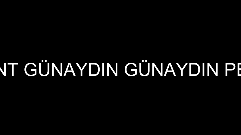 LEVENT GÜNAYDIN GÜNAYDIN PEYZAJ