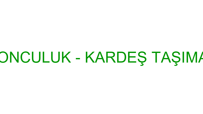 KARDEŞLER BALONCULUK - KARDEŞ TAŞIMACILIK ORGANİZA