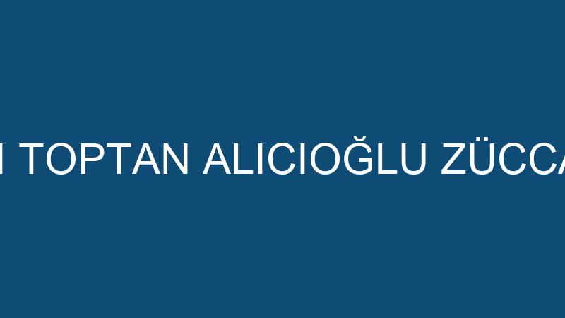 HÜSEYİN ALÇI TOPTAN ALICIOĞLU ZÜCCACİYE ŞUBESİ
