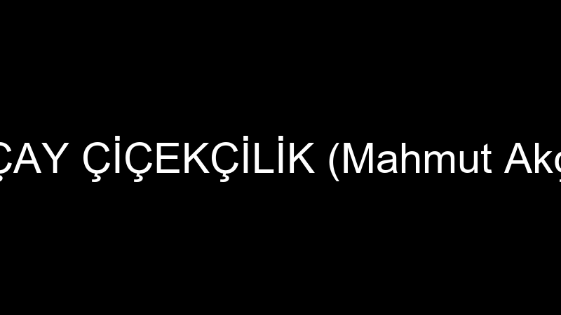 AKÇAY ÇİÇEKÇİLİK (Mahmut Akçay)