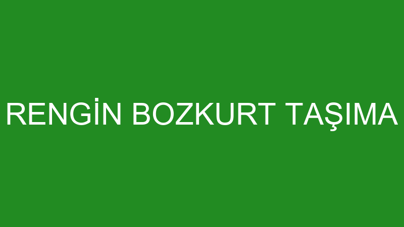 Rengi̇n Bozkurt Taşıma logosu