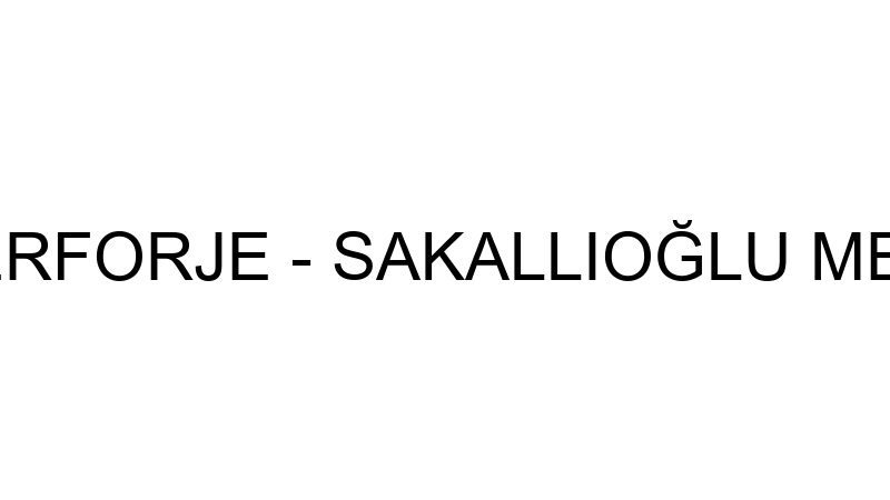 SAKALLIOĞLU FERFORJE - SAKALLIOĞLU METAL BORU PROF