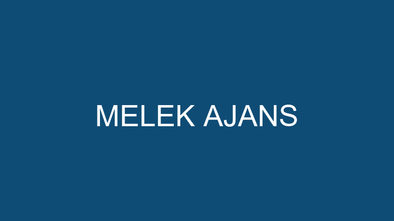 MELEK AJANS