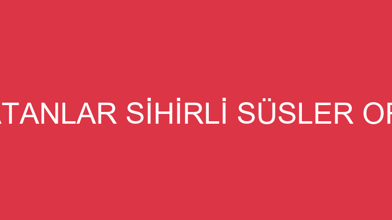 SÜLEYMAN VATANLAR SİHİRLİ SÜSLER ORGANİZASYON