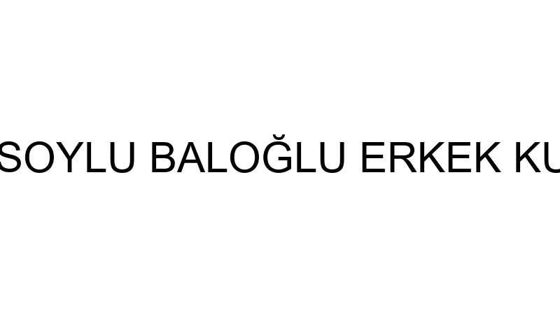 ŞABAN SOYLU BALOĞLU ERKEK KUAFÖRÜ