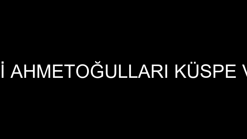 MUHSİN DEMİRCİ AHMETOĞULLARI KÜSPE VE SİLAJ PAKETL