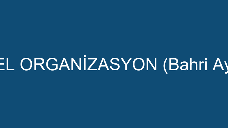 DESİBEL ORGANİZASYON (Bahri Aydoğan)