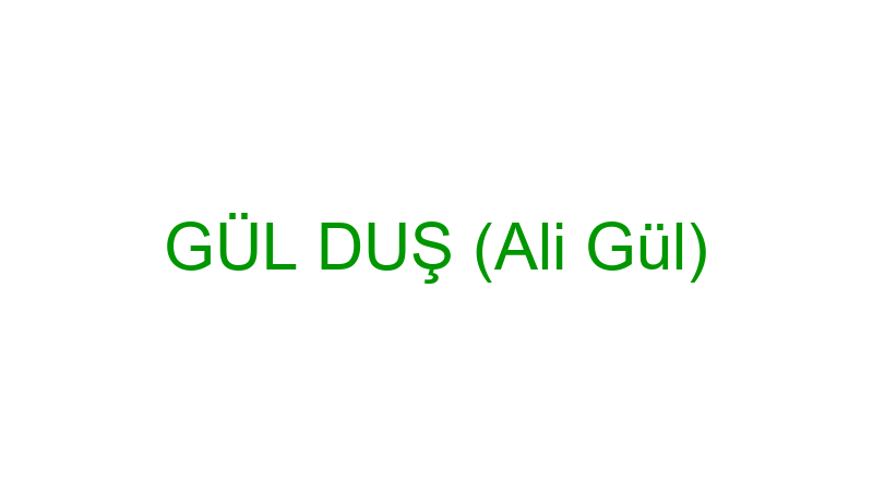 GÜL DUŞ (Ali Gül)
