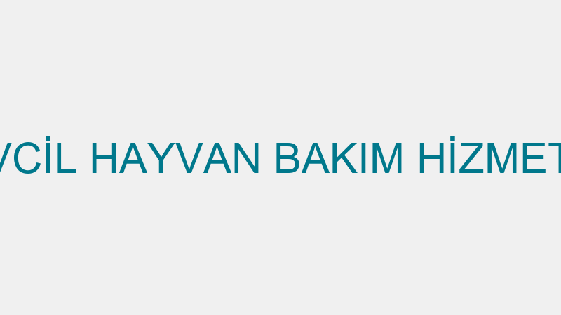 HAVLUM PET EVCİL HAYVAN BAKIM HİZMETLERİ LİMİTED Ş