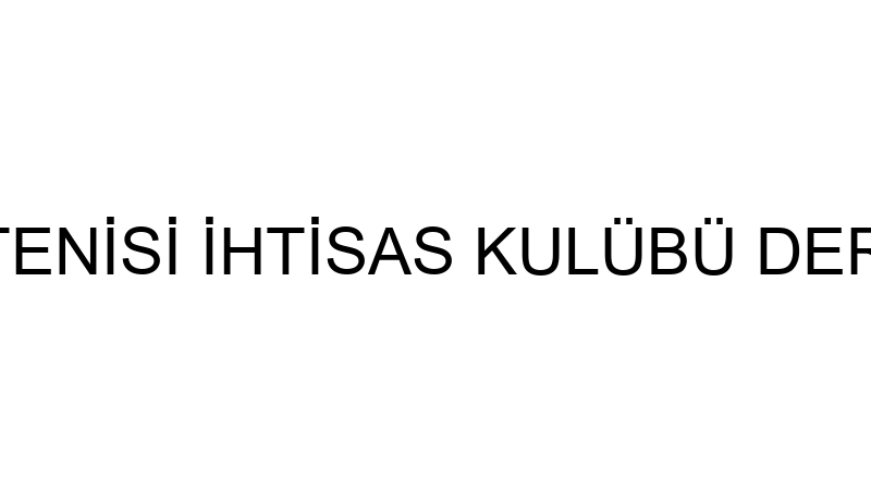 ADANA MASA TENİSİ İHTİSAS KULÜBÜ DERNEĞİ İKTİSADİ