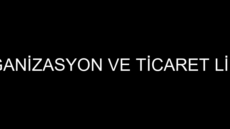 PARTİ EVİ ORGANİZASYON VE TİCARET LİMİTED ŞİRKETİ
