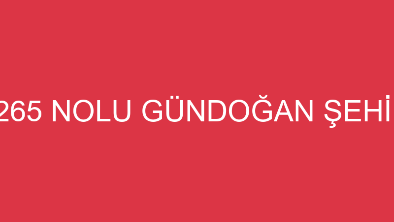 MUĞLA BODRUM 265 NOLU GÜNDOĞAN ŞEHİR İÇİ DOLMUŞÇUL
