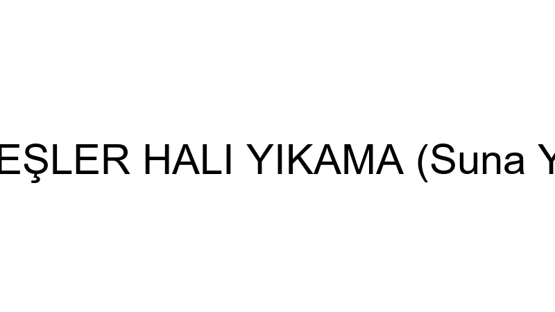 Mert Halı Ve Koltuk Yıkama logosu