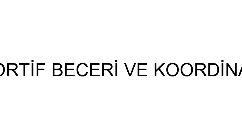 KIDS SPORT SPORTİF BECERİ VE KOORDİNASYON EĞİTİM M