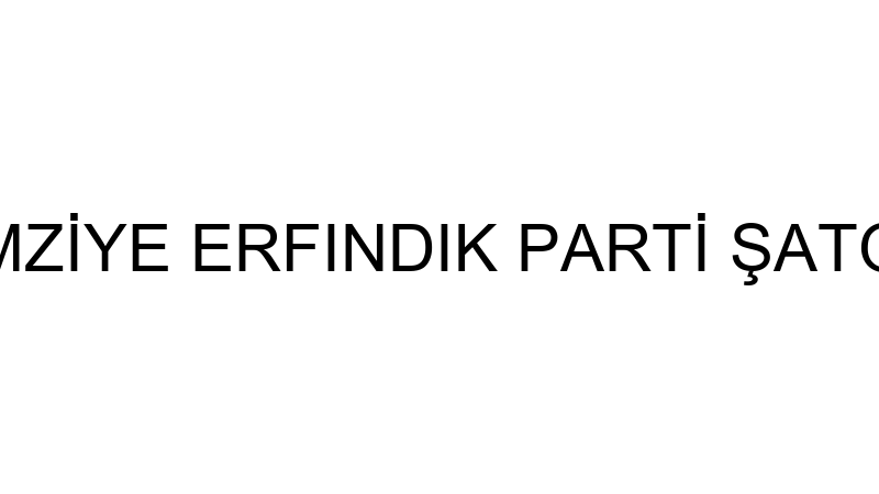 REMZİYE ERFINDIK PARTİ ŞATOSU
