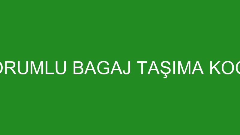 Sınırlı Sorumlu Bagaj Taşıma Kooperati̇fi̇ logosu