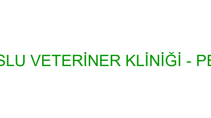 USLU VETERİNER KLİNİĞİ - PET