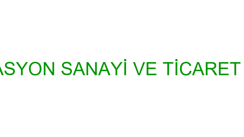 TERA ORGANİZASYON SANAYİ VE TİCARET LİMİTED ŞİRKET