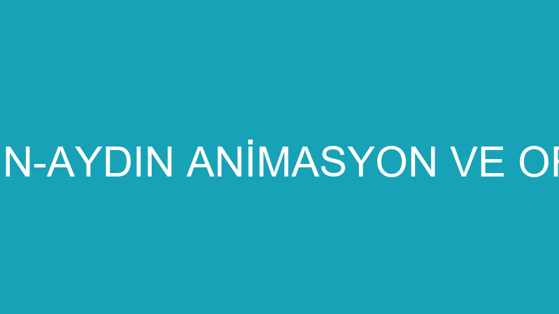 MÜCAHİT AYDIN-AYDIN ANİMASYON VE ORGANİZASYON