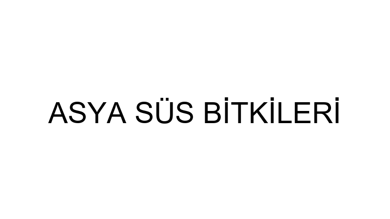 ASYA SÜS BİTKİLERİ