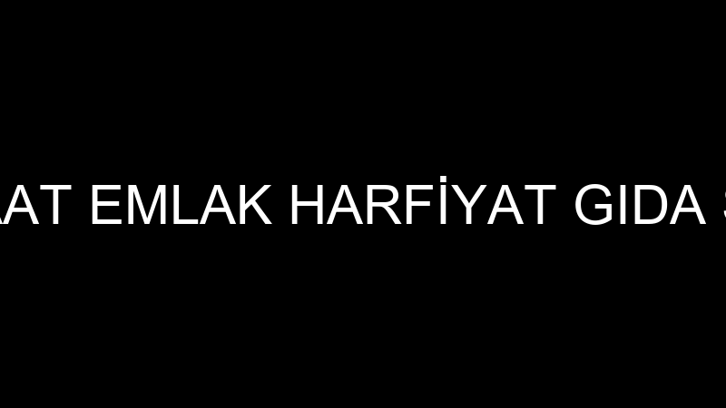 EBRAR İNŞAAT EMLAK HARFİYAT GIDA SAN LTD ŞTİ