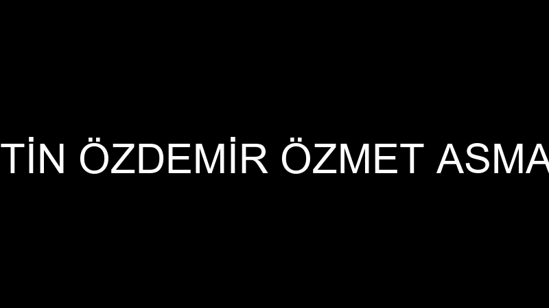 SEYFETTİN ÖZDEMİR ÖZMET ASMA İSKELE