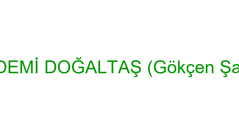 AKADEMİ DOĞALTAŞ (Gökçen Şansal)