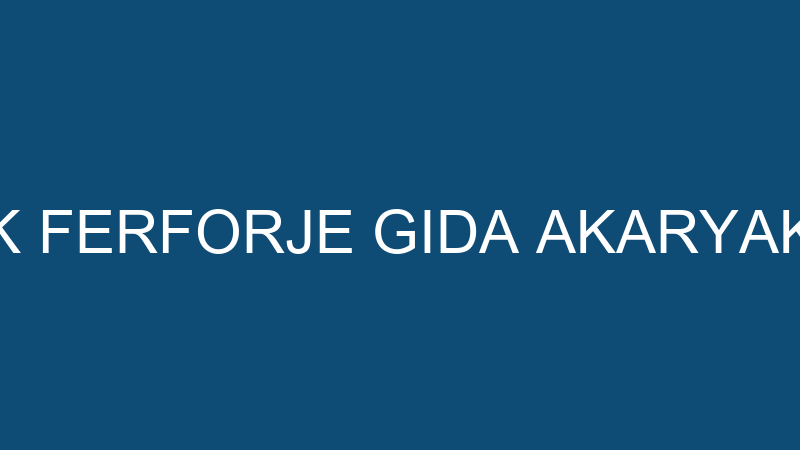 MES DEMİRBİLEK FERFORJE GIDA AKARYAKIT OTOMOTİV İN