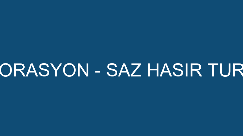 EFE HASIR DEKORASYON - SAZ HASIR TURİZM SAN.VETİC.